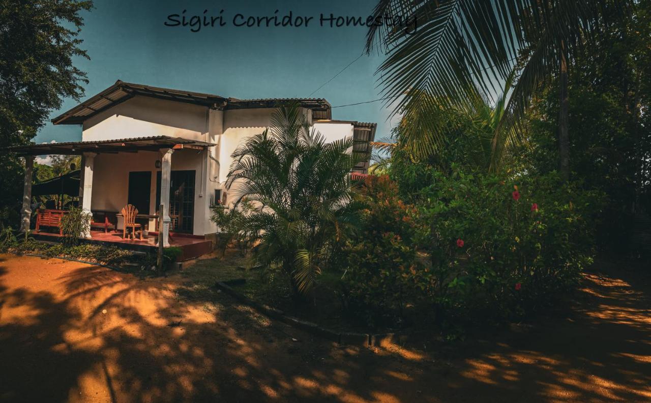 Sigiri Corridor Home Stay Sigiriya Bagian luar foto