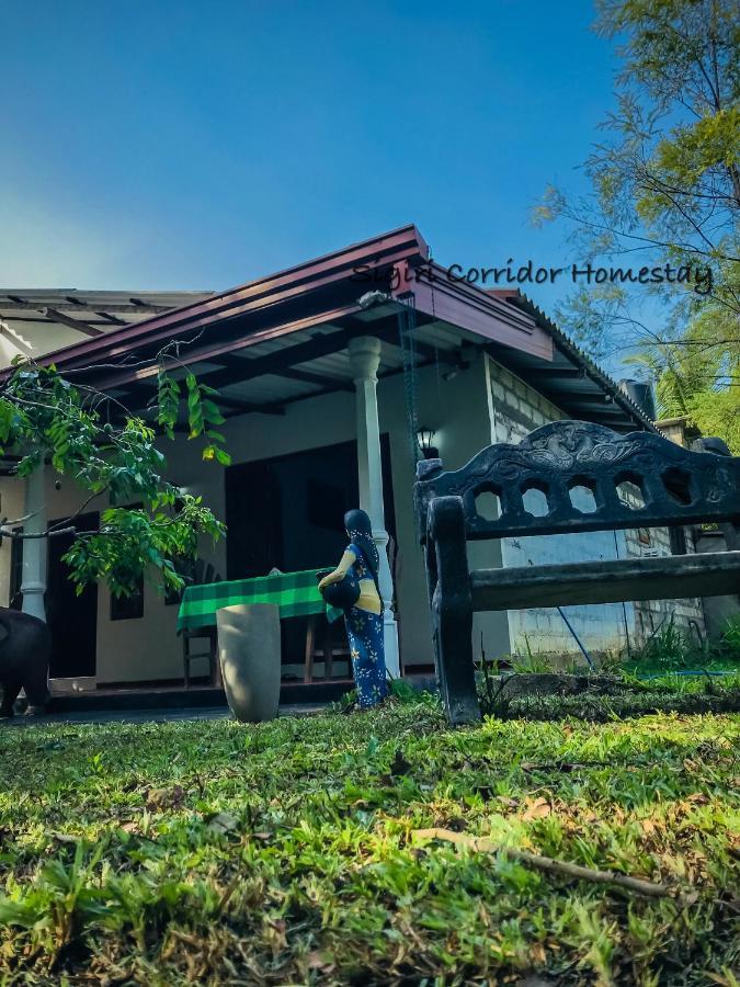 Sigiri Corridor Home Stay Sigiriya Bagian luar foto
